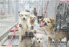 <a href="/news/2017/0523/7.html">�����������è�������� �����ʿ���������</a>