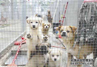 ���������һҳ