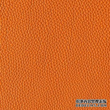 �����˳�