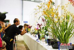 <a href="/finance/2017/0525/132.html">���Ұ��������Դ���ƻ�����ɽ���������ɽ��</a>